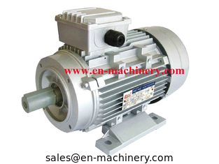 China AC/DC Synchronous Generator Motor for Crane(CE, TUV, SGS)  INVERTER DUTY MOTOR supplier