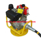 Customized Protable 10HP Manual Start Diesel Concrete Vibrator For Construction Work supplier