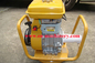 Small Portable Hose Honda Robin EY20 Engine Concrete Vibrator Price supplier