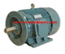 Engine Motor three phase Super High Efficiency AC DC Electric Motor supplier