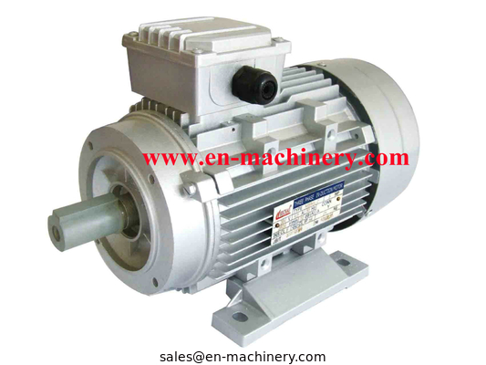 AC/DC Synchronous Generator Motor for Crane(CE, TUV, SGS)  INVERTER DUTY MOTOR