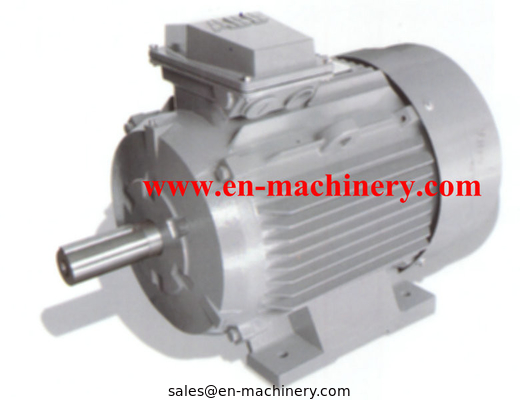 AC/DC Synchronous Generator Motor for Crane(CE, TUV, SGS)  INVERTER DUTY MOTOR