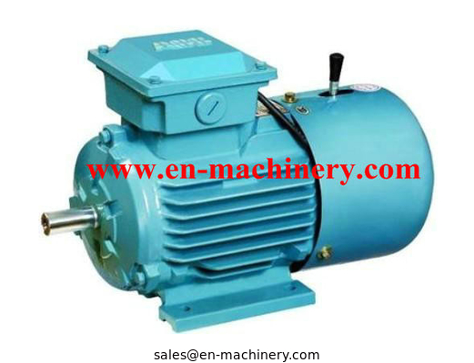 AC/DC Synchronous Generator Motor for Crane(CE, TUV, SGS)  INVERTER DUTY MOTOR